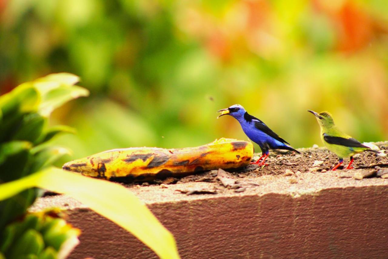 Arte Natura Hotel