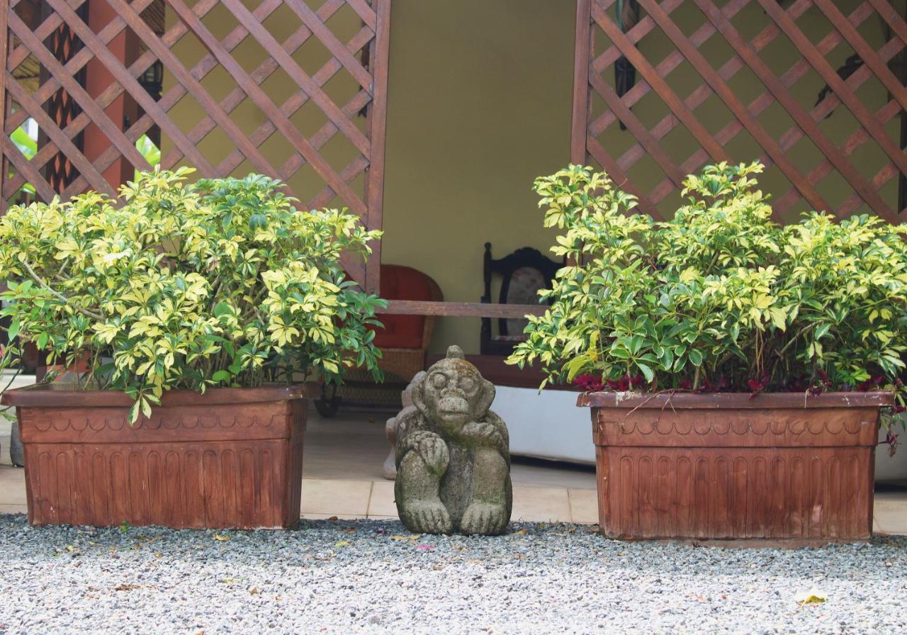 Arte Natura Hotel La Fortuna