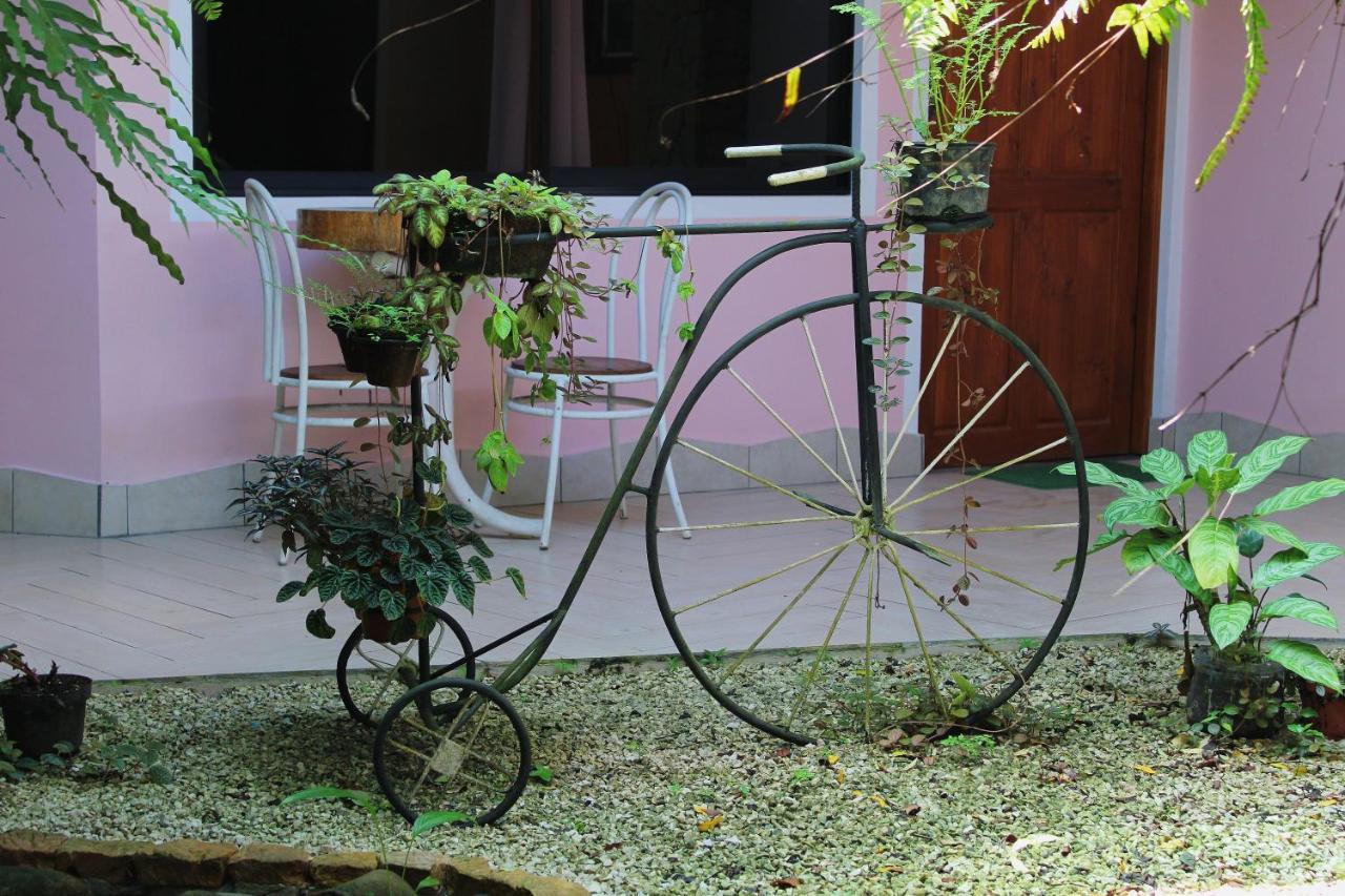 Hotel Arte Natura